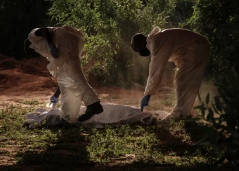 Workers carry a body bag to the mortuary after exhuming bodies at the mass-grave site in Shakahola, Kilifi County on April 25, 2023. (Photo by AFP)