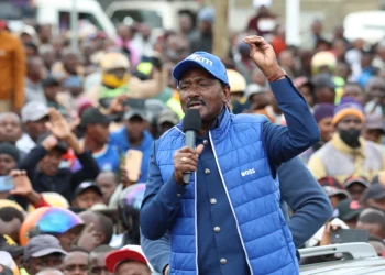 Kalonzo Musyoka, leader of the Wiper Patriotic Front, formerly Wiper Democratic Movement, addresses a rally in Narok on June 30, 2025.