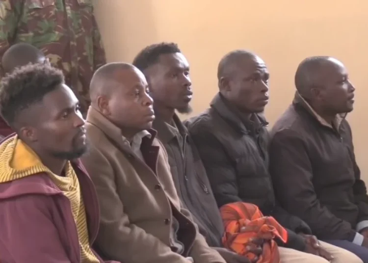 11 Held Over Livestock Theft