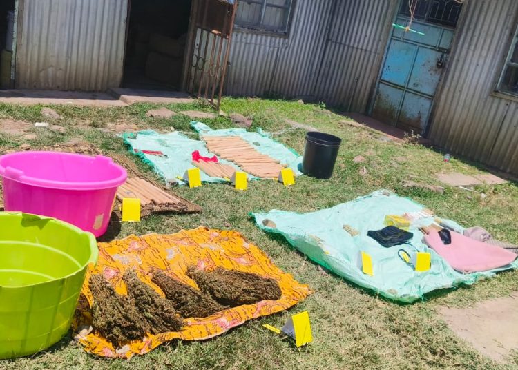 Sh12M Bhang Haul Seized