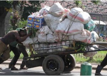 Eldoret Handcart Operator Defends Marijuana Use