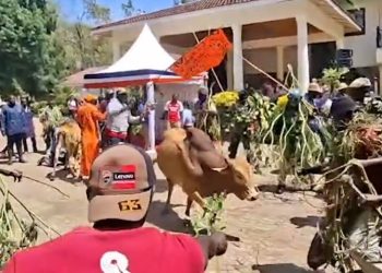 Siaya resident performing 'Tero Buru rite at the home of Raila Odinga.