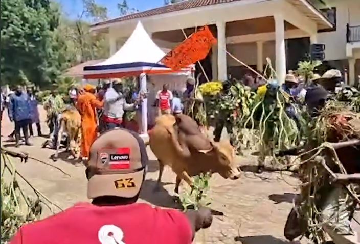 Siaya resident performing 'Tero Buru rite at the home of Raila Odinga.