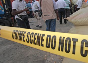 Elephant Attack Claims Life