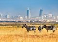 Zebras grazing at Nairobi National Park with the city’s skyline in the background.