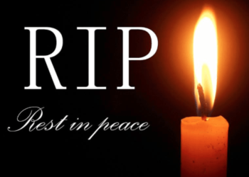 MP Killed in Elephant Crash