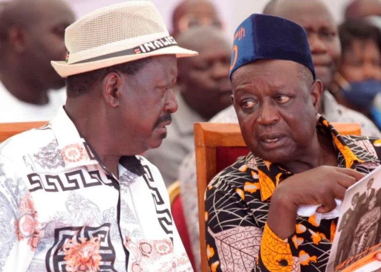 Former Prime Minister Raila Odinga and his brother, Siaya Senator Oburu Odinga at a past function.