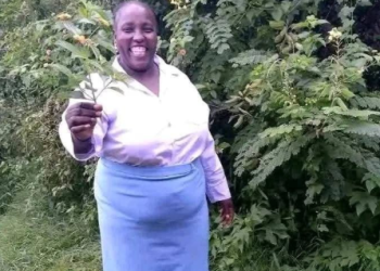 Meru Mama Mboga