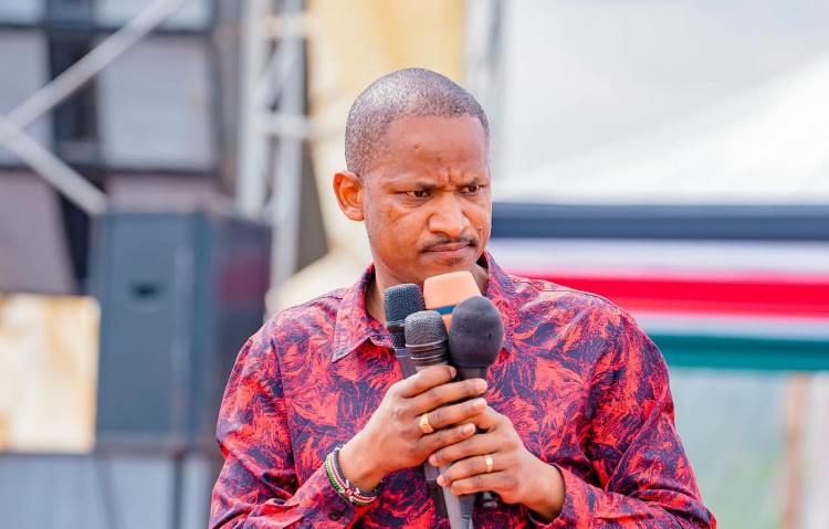 Embakasi East MP Babu Owino speaks during a past public function