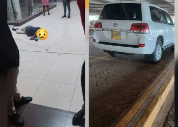 CEO dies after jumping from KRA offices