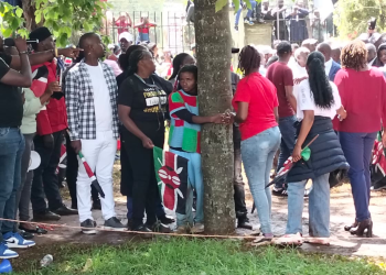 Truphena Muthoni bags Sh1m, land, vacation, skincare gifts after setting tree-hugging record