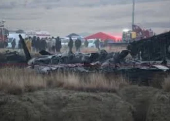 Black box from crashed plane recovered