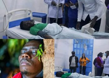 Jimmy Irungu, the 30 years old pastor who has broken the 72-hour tree hugging record at Murang'a Level 5/