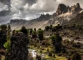 A general view of Mackinder's Valley from the foothills of Mount Kenya, inside Mount Kenya National Park on March 7, 2025.