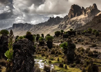 A general view of Mackinder's Valley from the foothills of Mount Kenya, inside Mount Kenya National Park on March 7, 2025.