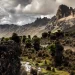 A general view of Mackinder's Valley from the foothills of Mount Kenya, inside Mount Kenya National Park on March 7, 2025.